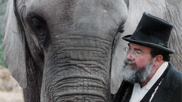 Счастливая слониха / One Lucky Elephant США 2010, 84 мин. Режиссер Лиза Лиман