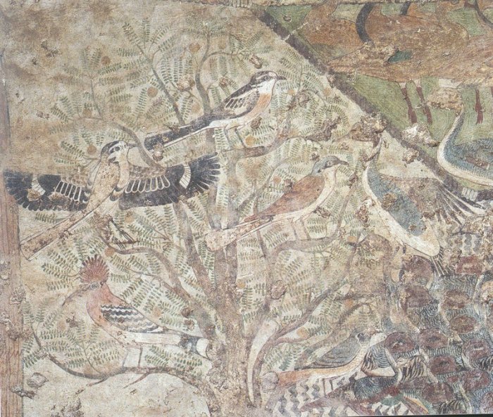 Птицы на акации. Деталь росписи гробницы Хнумхотепа в Бени-Гасане