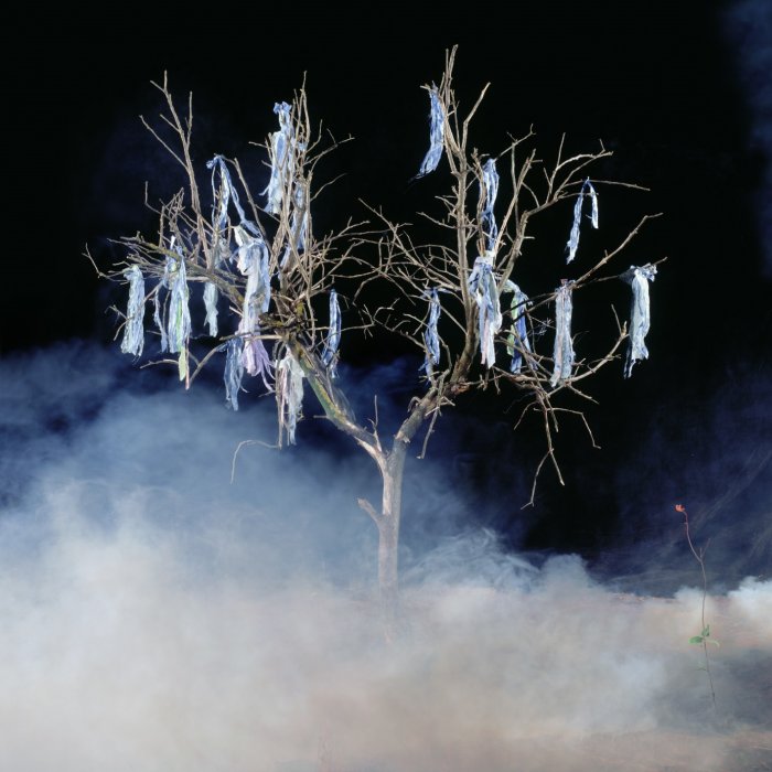 Таль Шохат,Без названия, из серии «Пробуждение», 2005 Фотография, хромогенный отпечаток с цифрового носителя, 121 x 121 см Работа предоставлена художником и галереей Rosenfeld, Тель-Авив